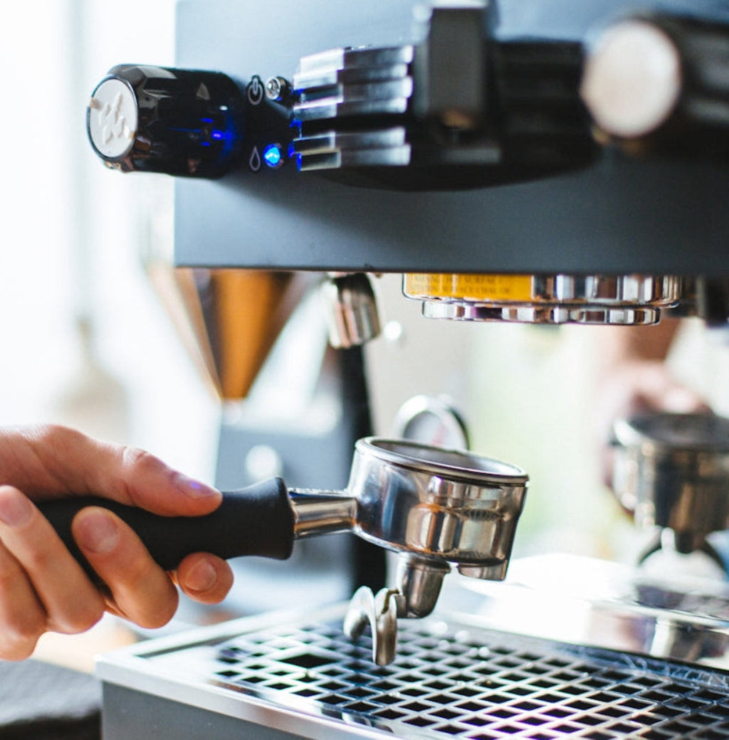 buy best coffee beans online