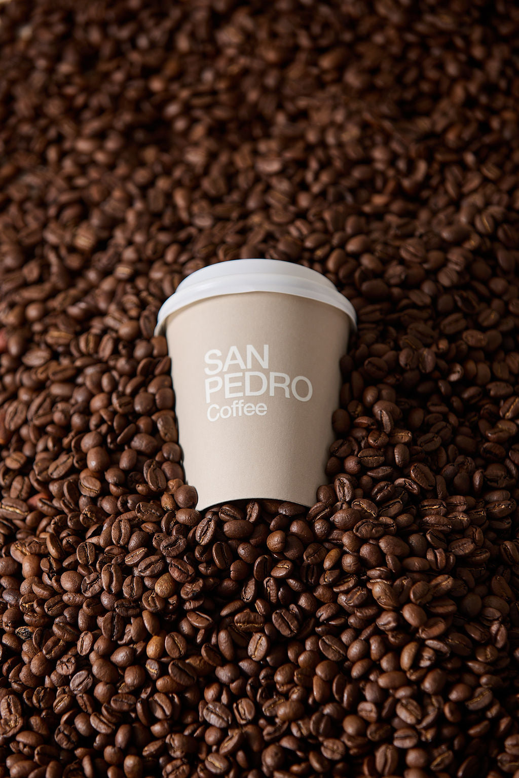 buy best coffee beans online roasters 